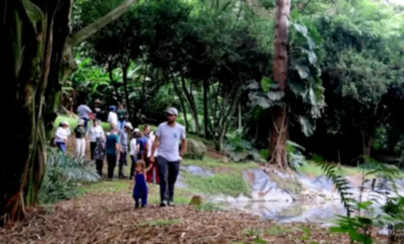 Humedal Cañagordas en Cali abre sus puertas como nuevo espacio natural de acceso gratuito