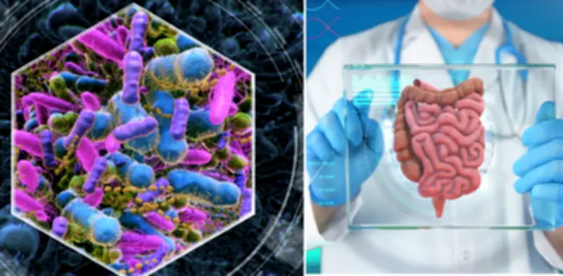 Identifican bacteria intestinal que potencia la fuerza muscular y mejora la condición física