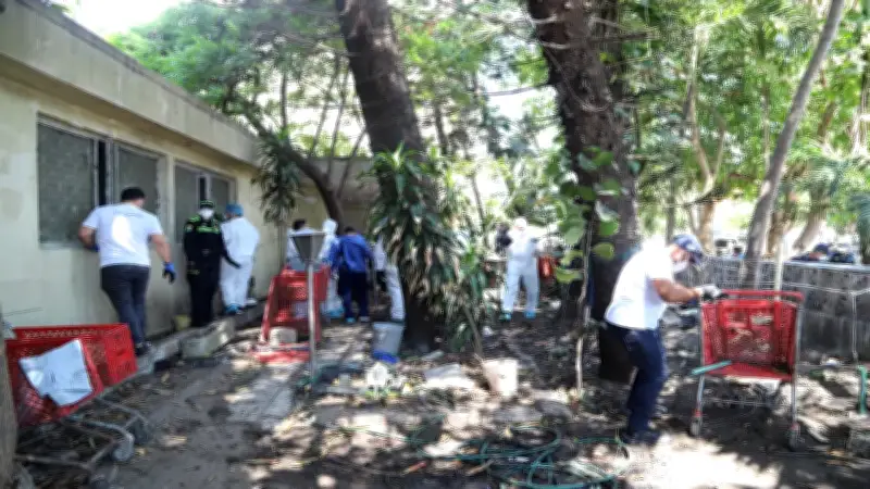 Impresionante video revela condiciones de hacinamiento en rescate de más de 80 perros en Barranquilla