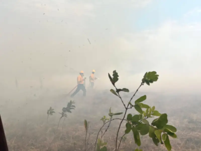 Incendio forestal amenaza viviendas en Villa David, Yopal: Bomberos y comunidad combaten las llamas