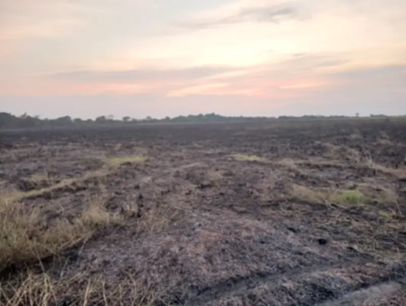 Incendio intencional arrasa 900 hectáreas del Bioparque Wisirare en Casanare