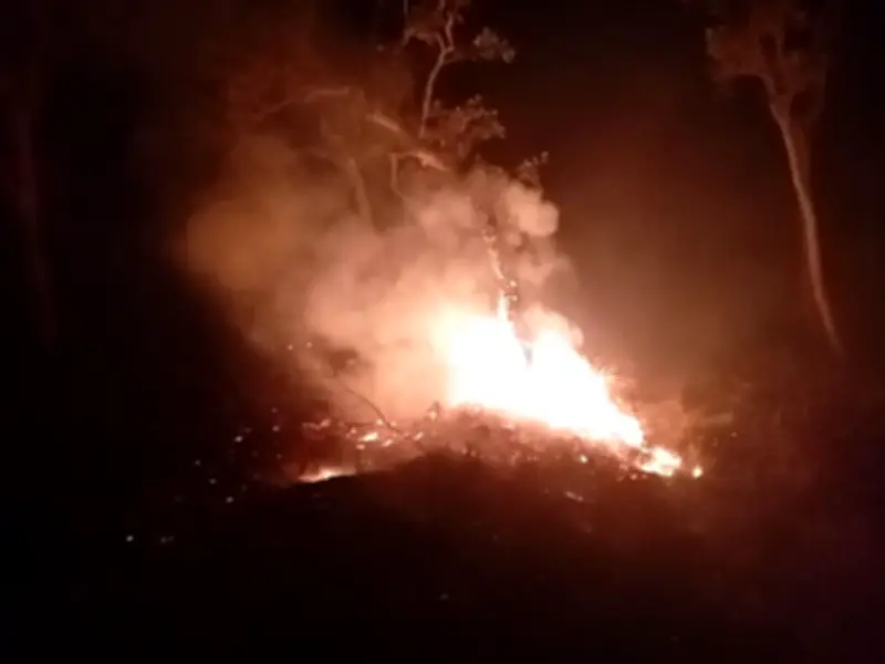 Incendios forestales en Arauca afectan 17.000 hectáreas de área protegida Cinaruco