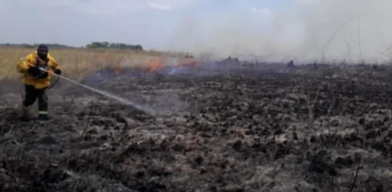 Incendios intencionales devastan más de 900 hectáreas del Bioparque Wisirare en Casanare
