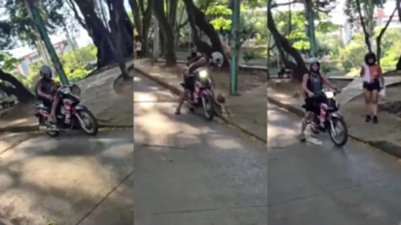 Indignación en Cali: Pareja intenta robar iguana del humedal El Retiro