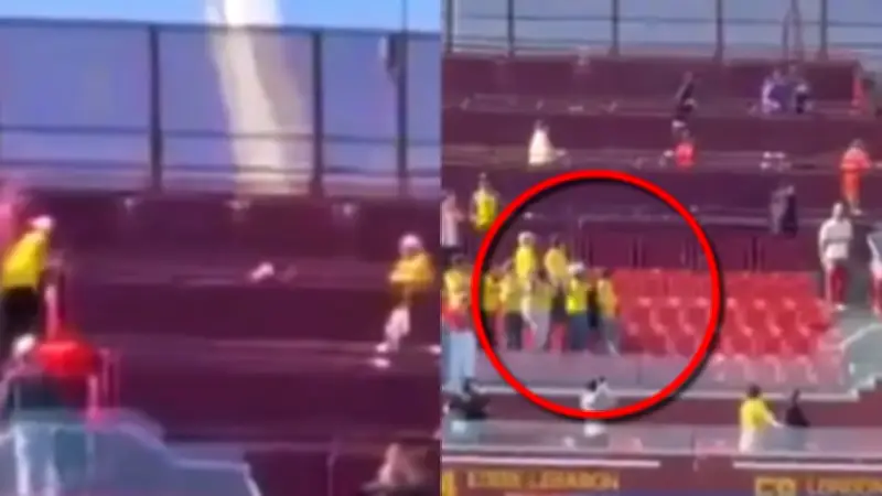 Indignación por violenta pelea entre hinchas de la Selección Colombia en partido contra Francia