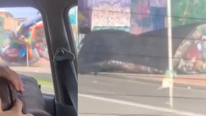 Inflable gigante se desprende y rueda por avenida en Bogotá, causando pánico entre conductores