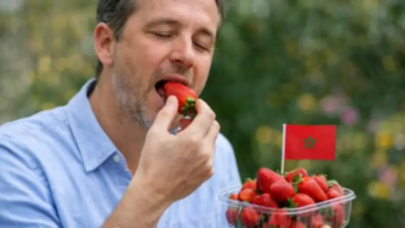 Informe alerta sobre la desinformación en salud y alimentación: fake news se difunden 7 veces más rápido