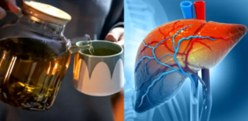 Infusiones herbales y hígado graso: el té que debe evitar si tiene riesgo hepático