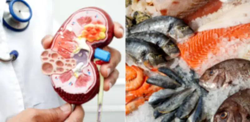 Insuficiencia renal: recomendaciones sobre qué pescados consumir y cuáles limitar en la dieta