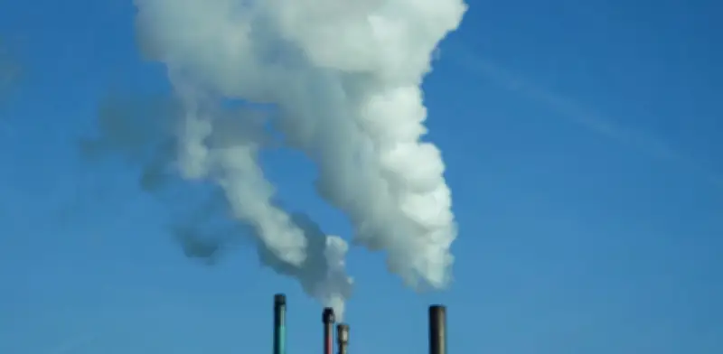 Integridad ambiental: el desafío de demostrar reducciones reales de emisiones de carbono