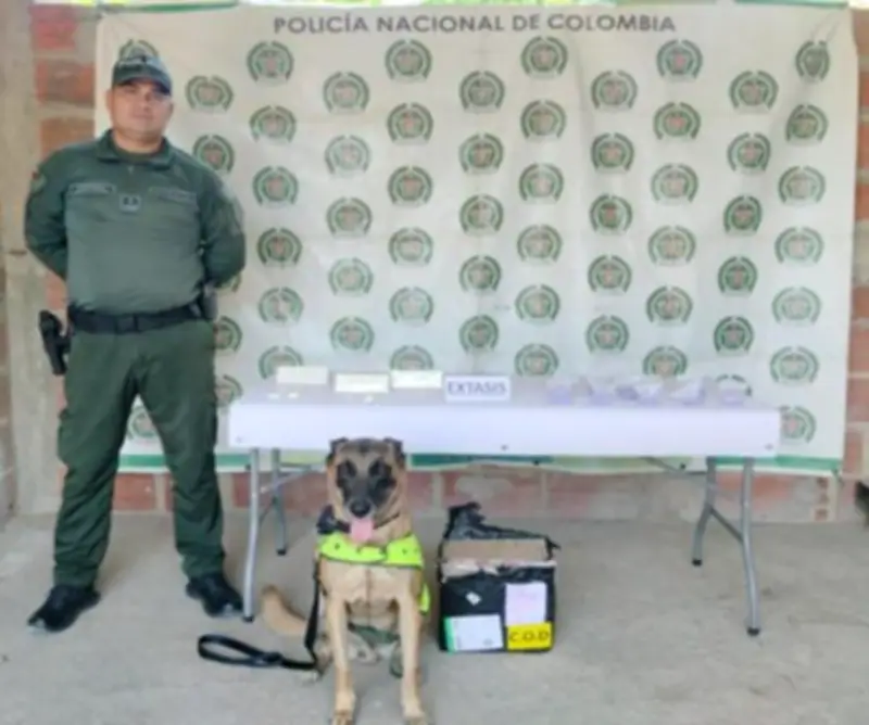 Interceptan 948 pastillas de éxtasis ocultas en encomiendas en Santa Marta
