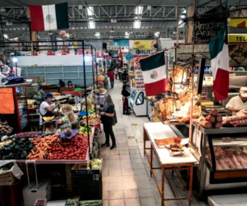 Inversión y T-MEC: Claves para el crecimiento económico de México según la OCDE