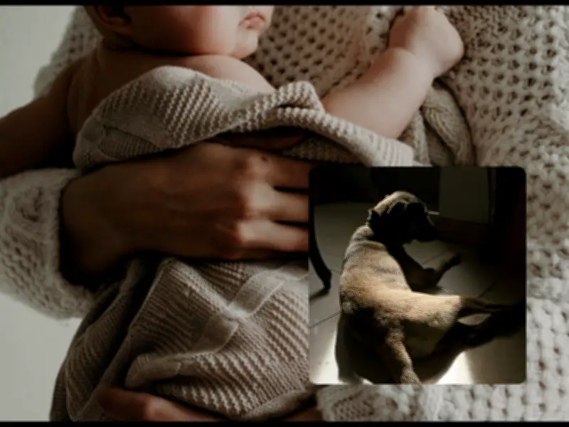 Investigación por ataque canino fatal a bebé de 5 días en Michigan