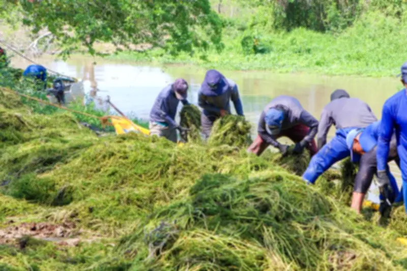 IPS Niños de Papel lidera jornada ambiental en caño Juan Angola de Cartagena