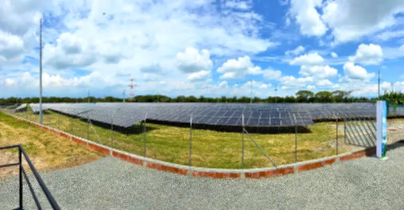Italcol invierte $19.000 millones en sistema solar para su planta de Palmira