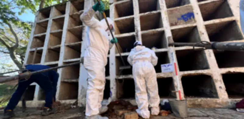 JEP exhumó ocho cuerpos en cementerios del Cauca: cinco serían víctimas del conflicto armado