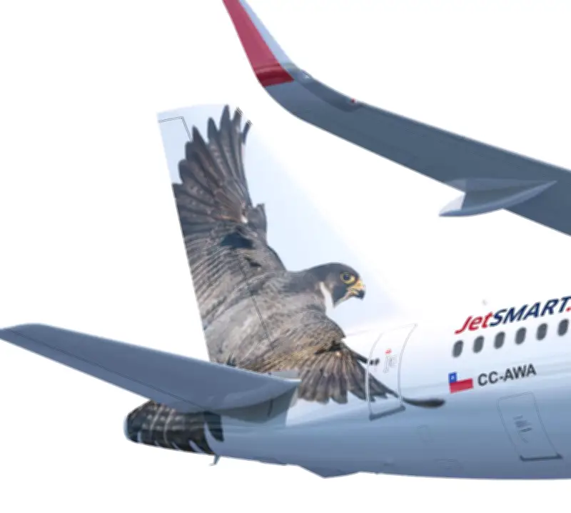 JetSmart amplía su red en Colombia con nuevas rutas a Bucaramanga y Cúcuta desde Bogotá