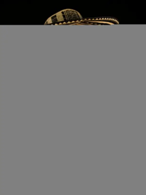 Joche Álvarez, gaitero y luthier de Ovejas, Sucre, preside el Festival Nacional de Gaitas