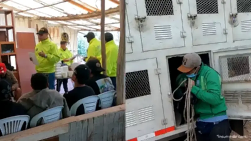 Judicializan a 13 personas por organizar peleas clandestinas de perros en La Calera, Cundinamarca