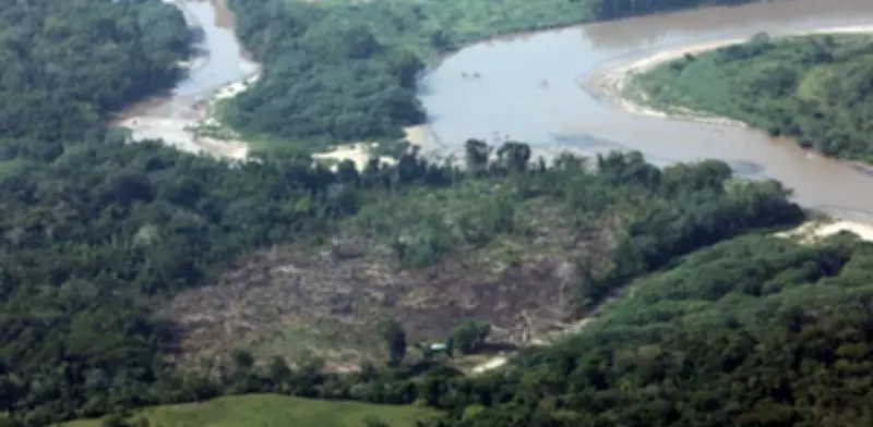 La Amazonía colombiana: 8.000 km de vías ilegales y una 'bomba climática' que amenaza al país