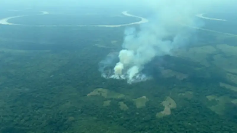 La Amazonía colombiana enfrenta un límite crítico: la deforestación agota sus bosques