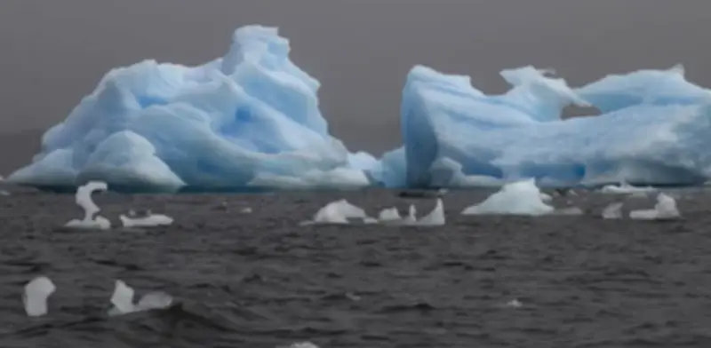 La Antártida perdió más de 12.800 km² de hielo en tres décadas por cambio climático