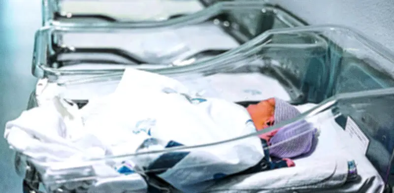 La autonomía femenina y la falta de compromiso masculino: claves de la caída global de la fecundidad