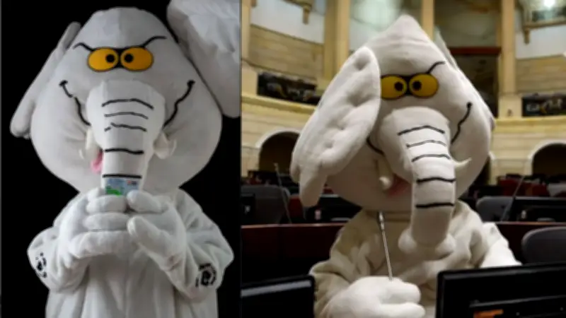 La caída en un hueco que marcó la vida del 'Elefante Blanco', hoy senador