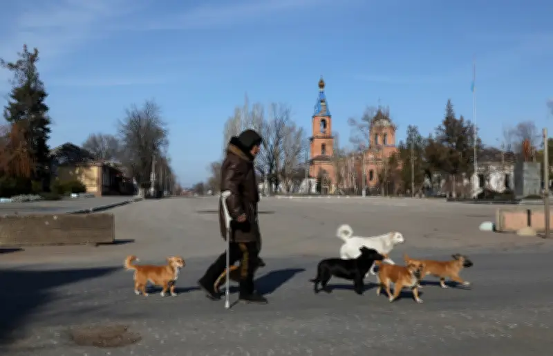 La guerra en Ucrania transforma a perros domésticos en animales salvajes, según estudio