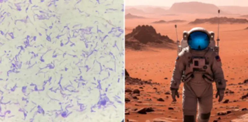 La microgravedad espacial amenaza la fertilidad humana según estudio australiano