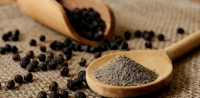 La pimienta bajo escrutinio científico: ¿realidad o exageración en sus beneficios para la salud?