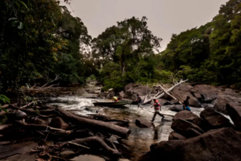 La tierra: epicentro del conflicto y la producción agrícola en Colombia
