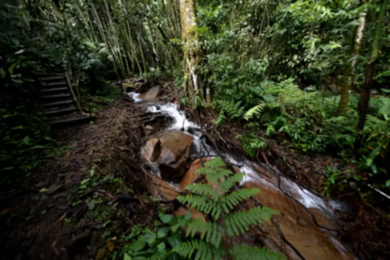 La Vega, Cundinamarca: Destino de Semana Santa con Turismo Sostenible y Experiencias Naturales