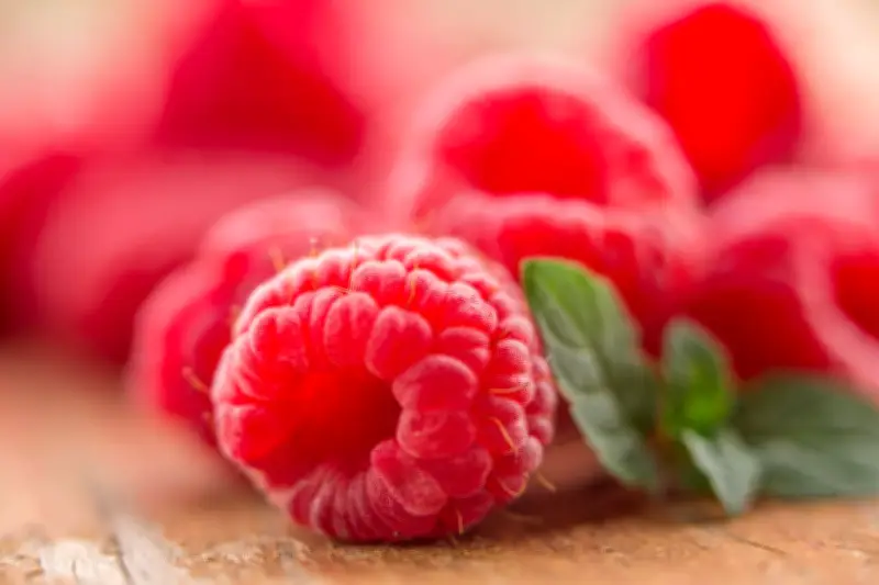 Las frambuesas desnudan la crisis de combustibles que encarecerá alimentos básicos