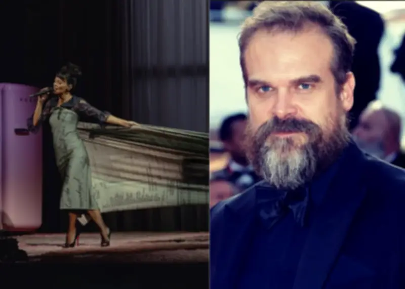 Lily Allen usa vestido de recibos en concierto para exponer supuesta infidelidad de David Harbour