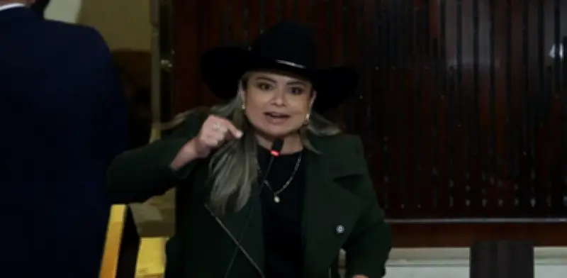 Lina Garrido, la polémica congresista que enfrentó a Petro, no logra curul en el Senado