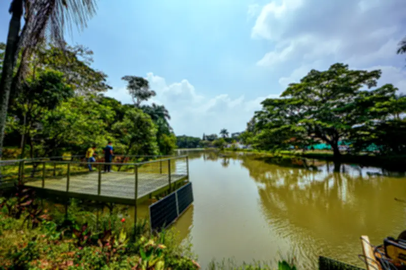 Los cinco humedales imperdibles de Cali: oasis naturales en la ciudad