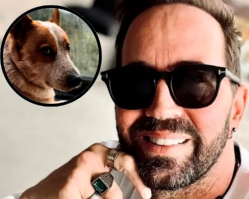 Lucas Arnau llora la muerte de su perro Atún tras trágico accidente vehicular