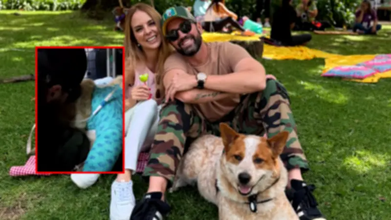 Lucas Arnau vive tragedia personal: atropella sin querer a su perro 'Atún' que fallece tras cirugía