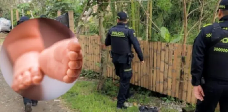 Macabro hallazgo de bebé recién nacido en Pereira: autoridades buscan responsables del abandono