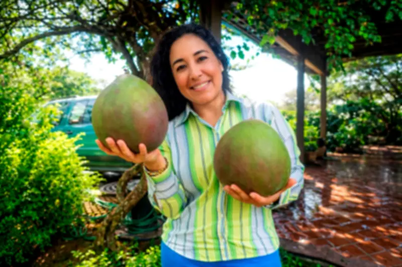 Mangos gigantes de Santander revelan historia de mujer que transformó su vida en el campo