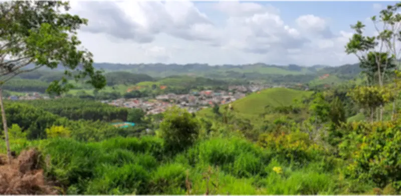 Masacre en Vegachí, Antioquia: cinco hombres asesinados en vereda Corinto por enfrentamientos armados