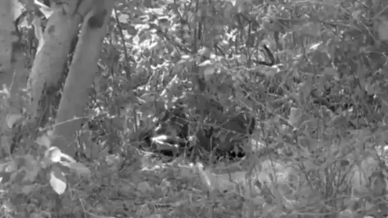 Menores de edad serían responsables del asesinato de dos hermanas en Malambo