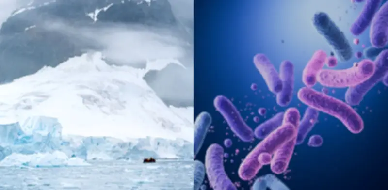 Microbios antárticos sobreviven a -20°C alimentándose del aire atmosférico