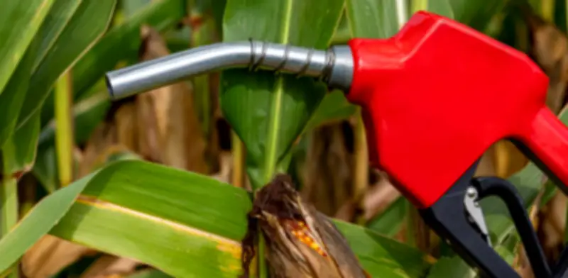 Minenergía sanciona a importadores de etanol por incumplir reportes ambientales y de trazabilidad