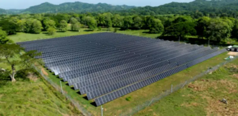 Minigranjas solares de Unergy generan energía para 35.000 hogares colombianos