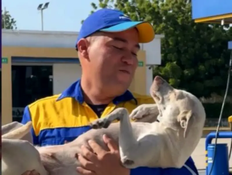 Mona, la perrita que se convirtió en el alma de una estación de servicio en Soledad