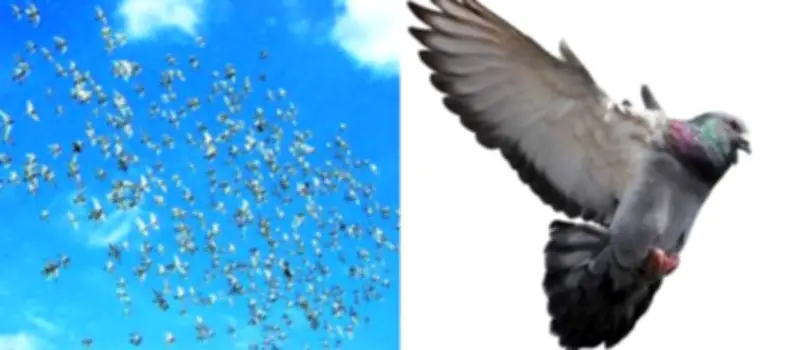 Monseñor Balbín reflexiona sobre la resurrección de Lázaro y su significado cristiano