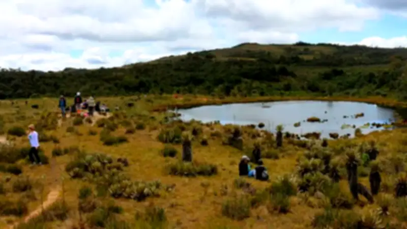 Municipios de Antioquia con acceso a páramos: una aventura entre frailejones