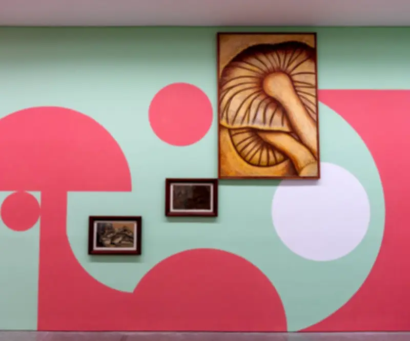 Museo de Arte Moderno de Medellín presenta ciclo expositivo sobre cuerpo, territorio y alimentación